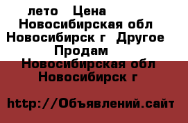 Michelin 225/65R17 лето › Цена ­ 4 000 - Новосибирская обл., Новосибирск г. Другое » Продам   . Новосибирская обл.,Новосибирск г.